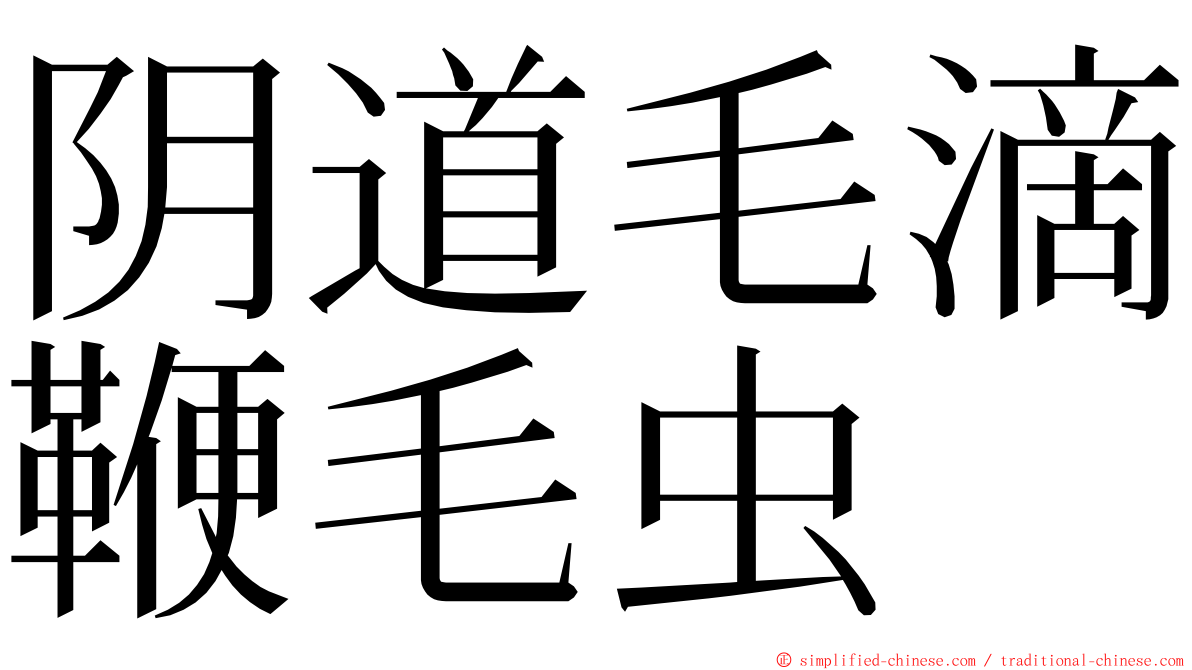 阴道毛滴鞭毛虫 ming font