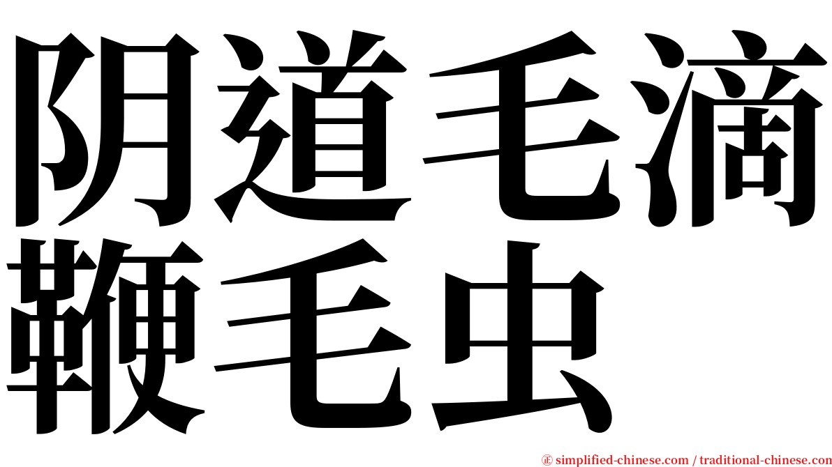 阴道毛滴鞭毛虫 serif font