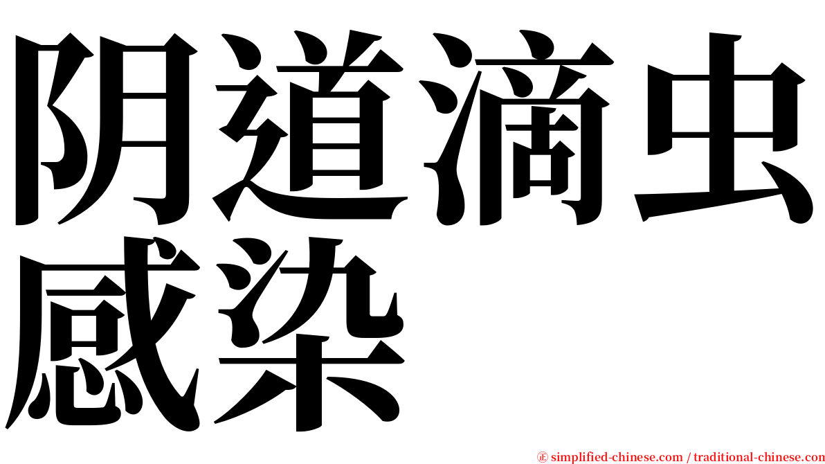 阴道滴虫感染 serif font