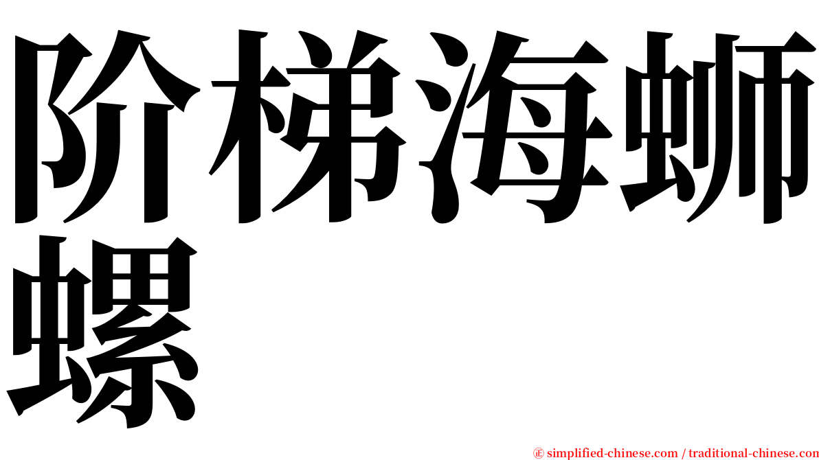 阶梯海蛳螺 serif font