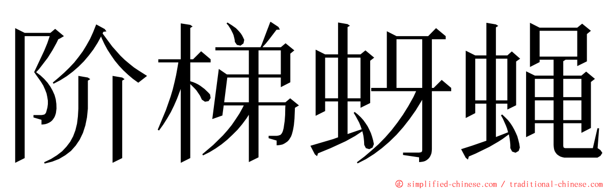 阶梯蚜蝇 ming font