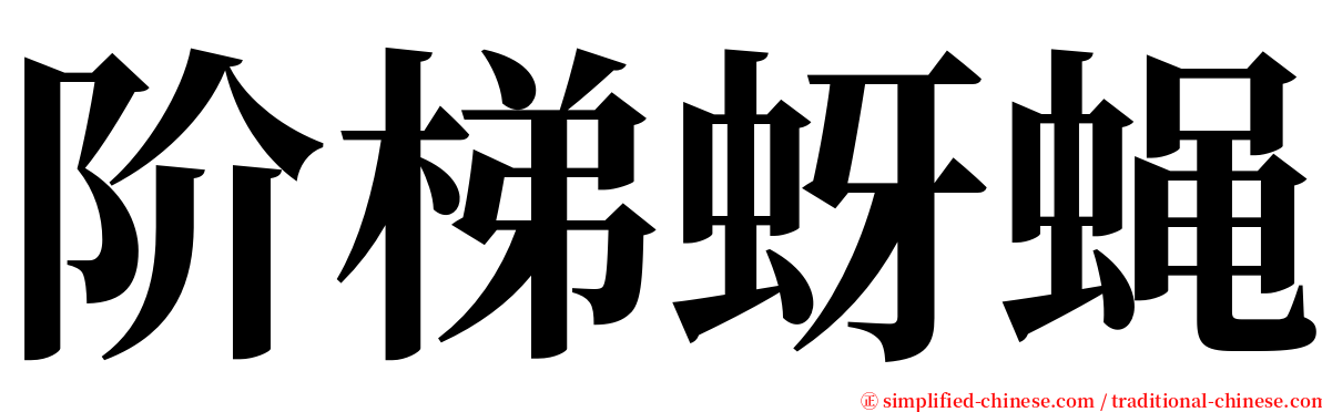 阶梯蚜蝇 serif font