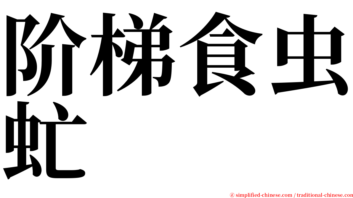 阶梯食虫虻 serif font