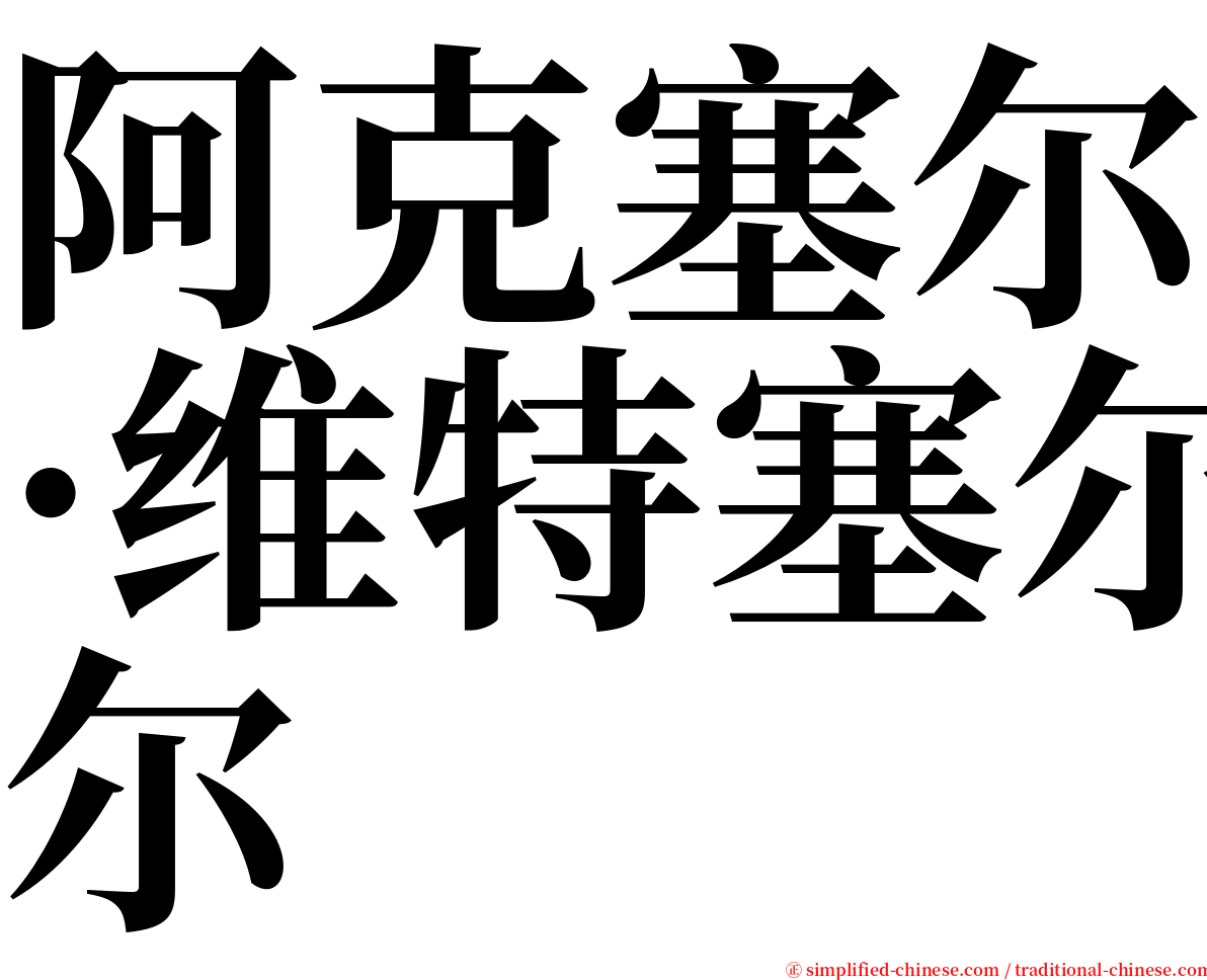 阿克塞尔·维特塞尔 serif font