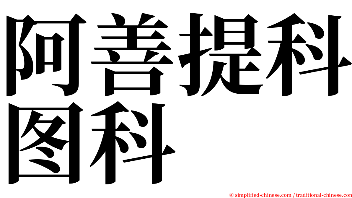 阿善提科图科 serif font