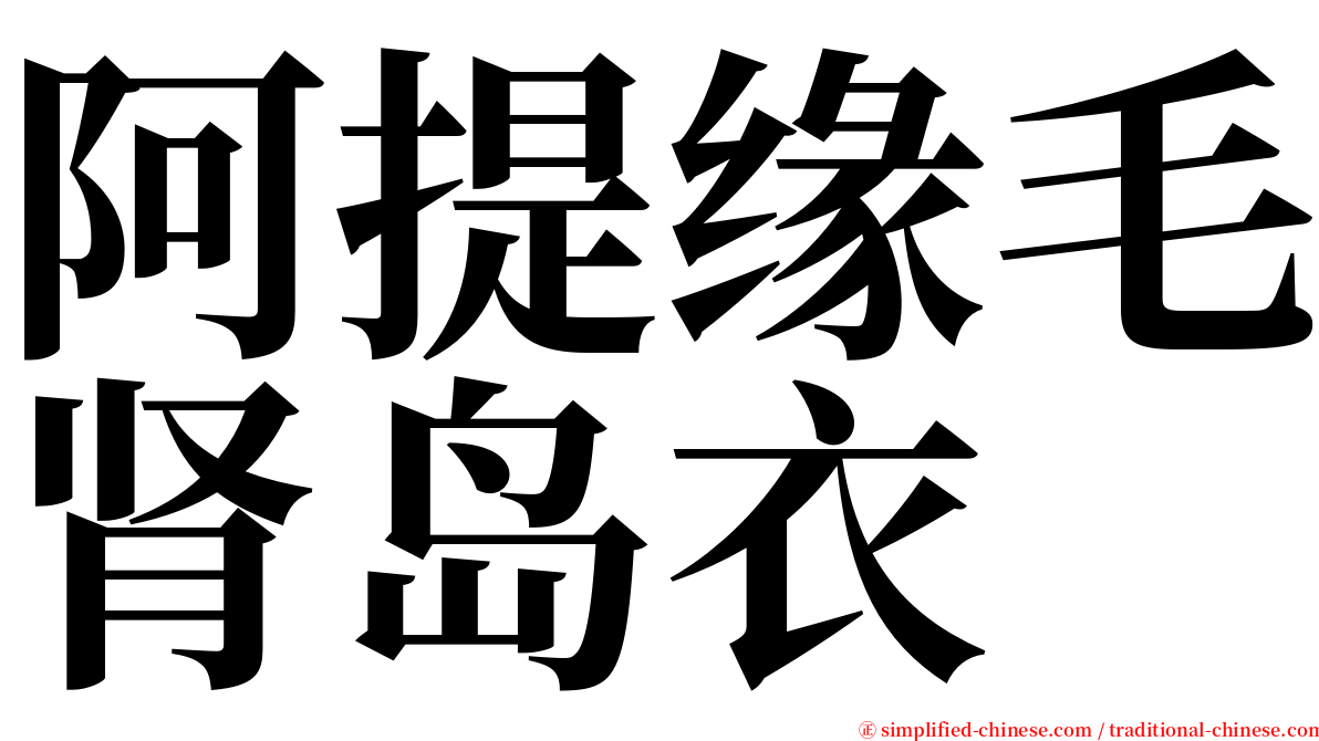 阿提缘毛肾岛衣 serif font