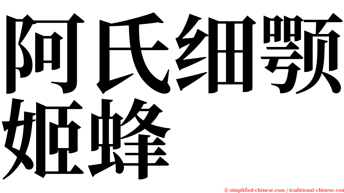 阿氏细颚姬蜂 serif font