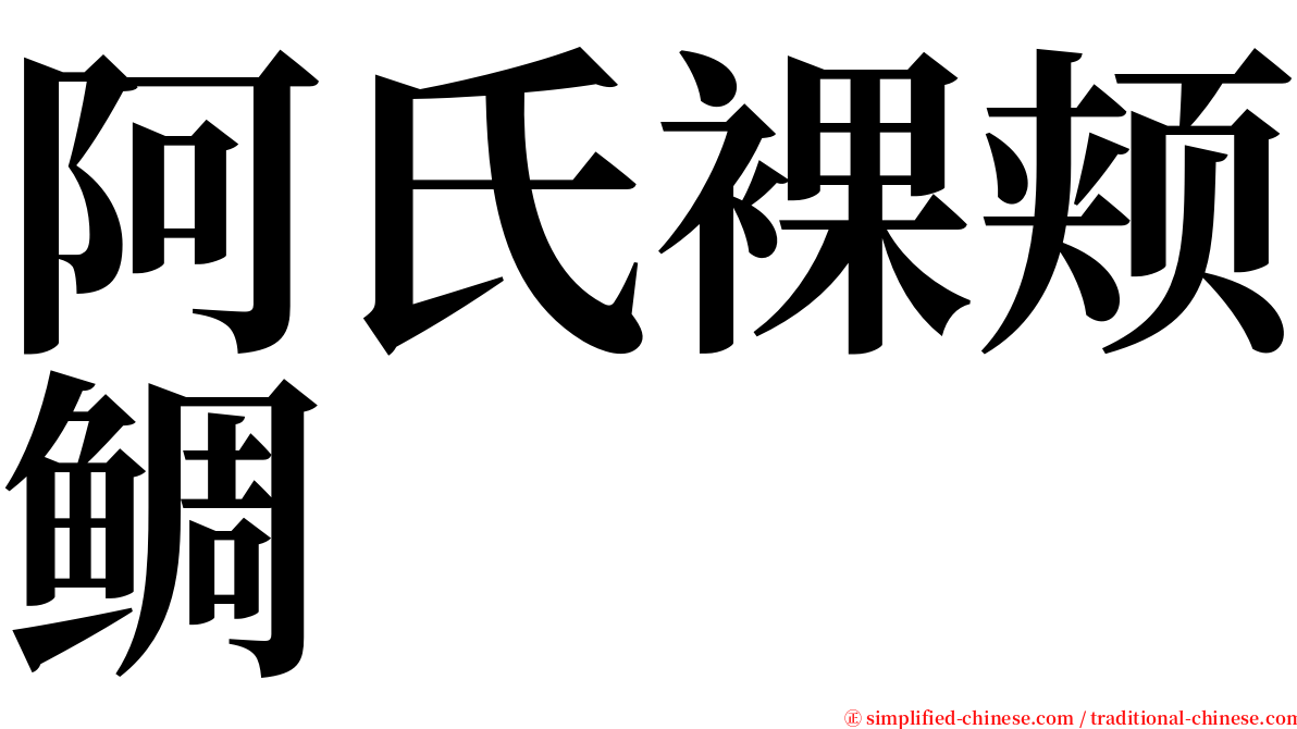 阿氏裸颊鲷 serif font