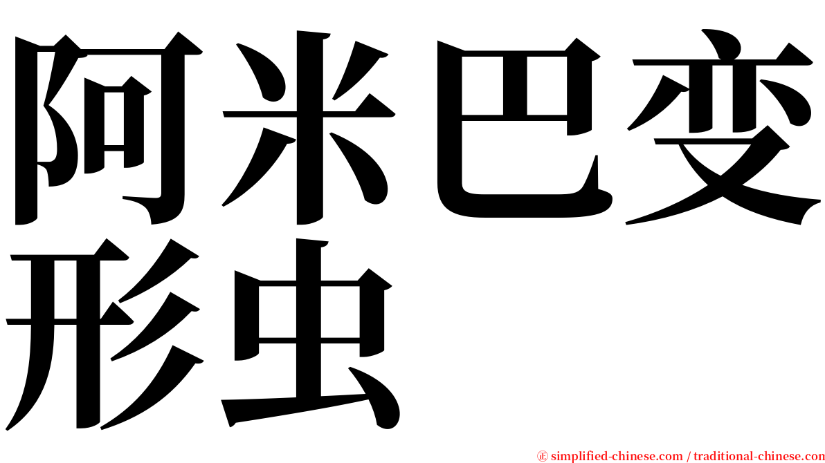 阿米巴变形虫 serif font