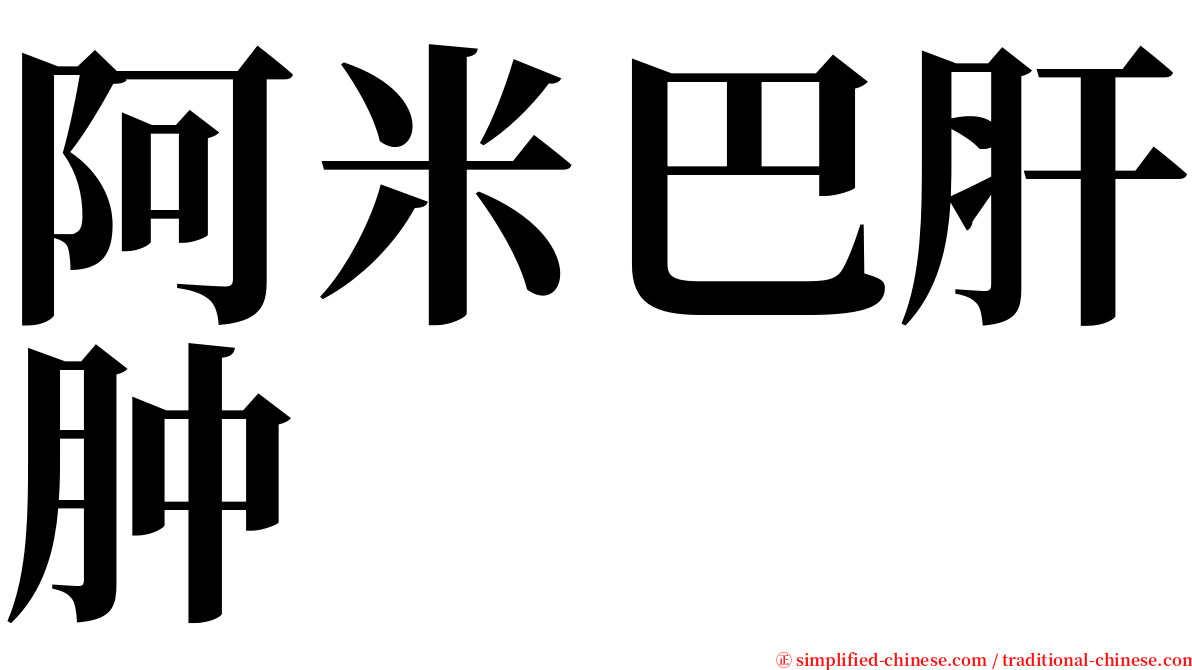 阿米巴肝肿 serif font