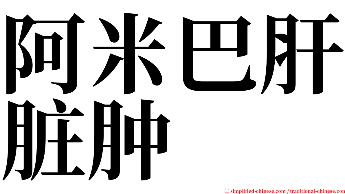 阿米巴肝脏肿 serif font