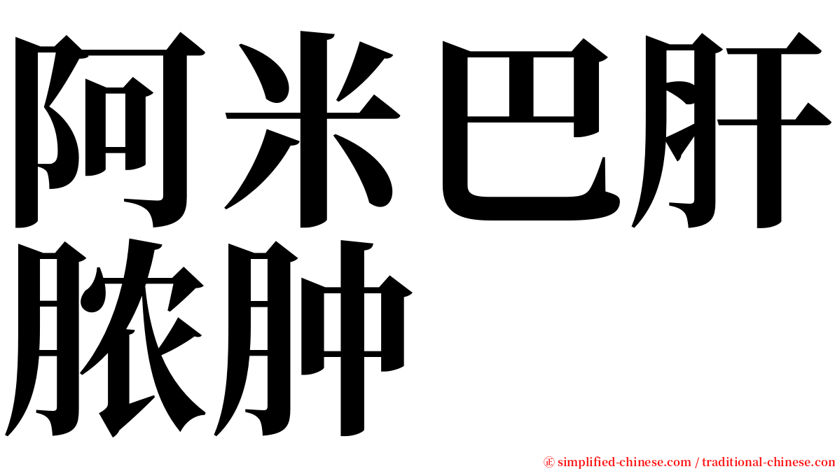 阿米巴肝脓肿 serif font