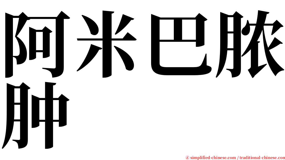 阿米巴脓肿 serif font