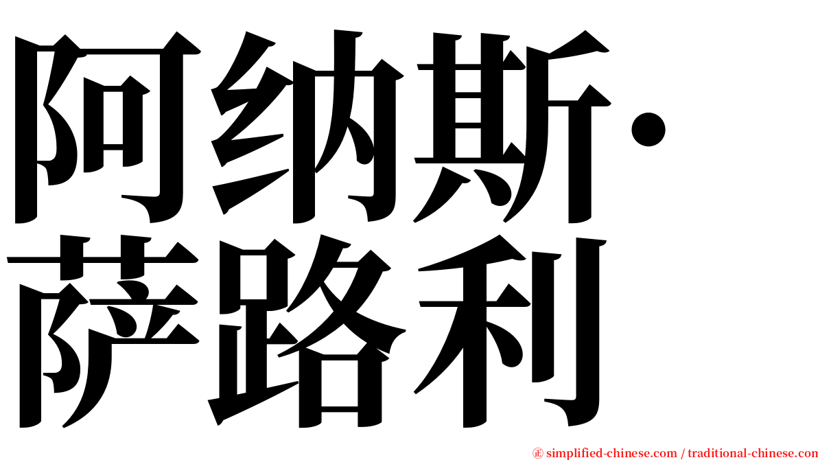 阿纳斯·萨路利 serif font