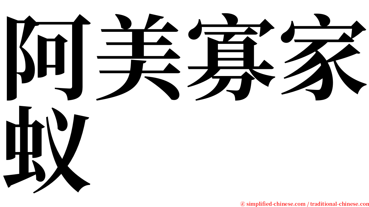 阿美寡家蚁 serif font