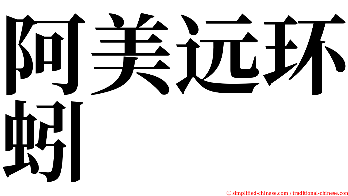 阿美远环蚓 serif font