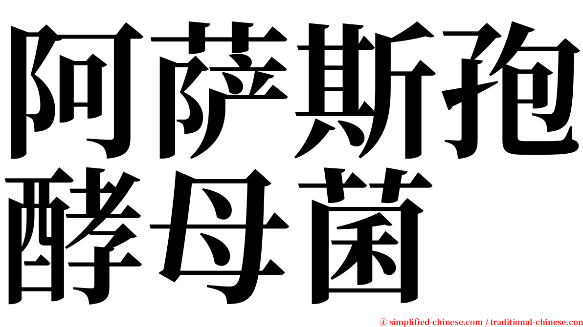 阿萨斯孢酵母菌 serif font