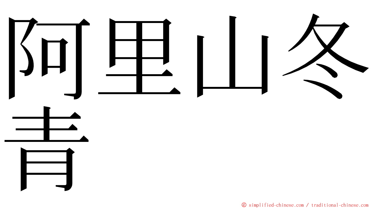 阿里山冬青 ming font