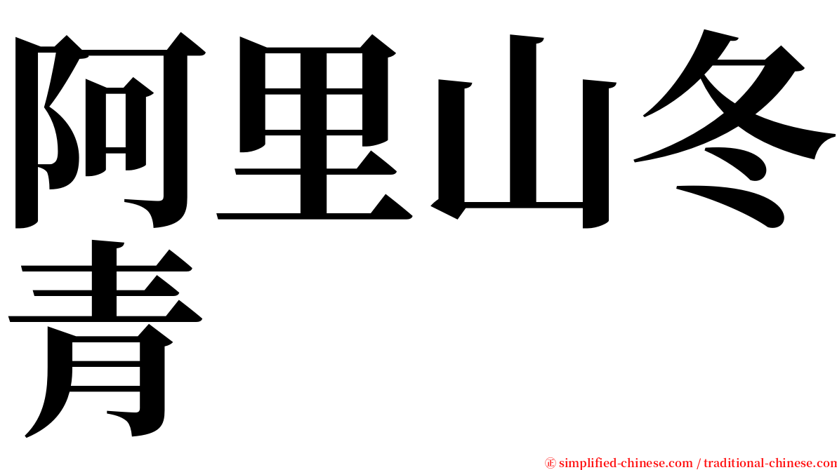 阿里山冬青 serif font