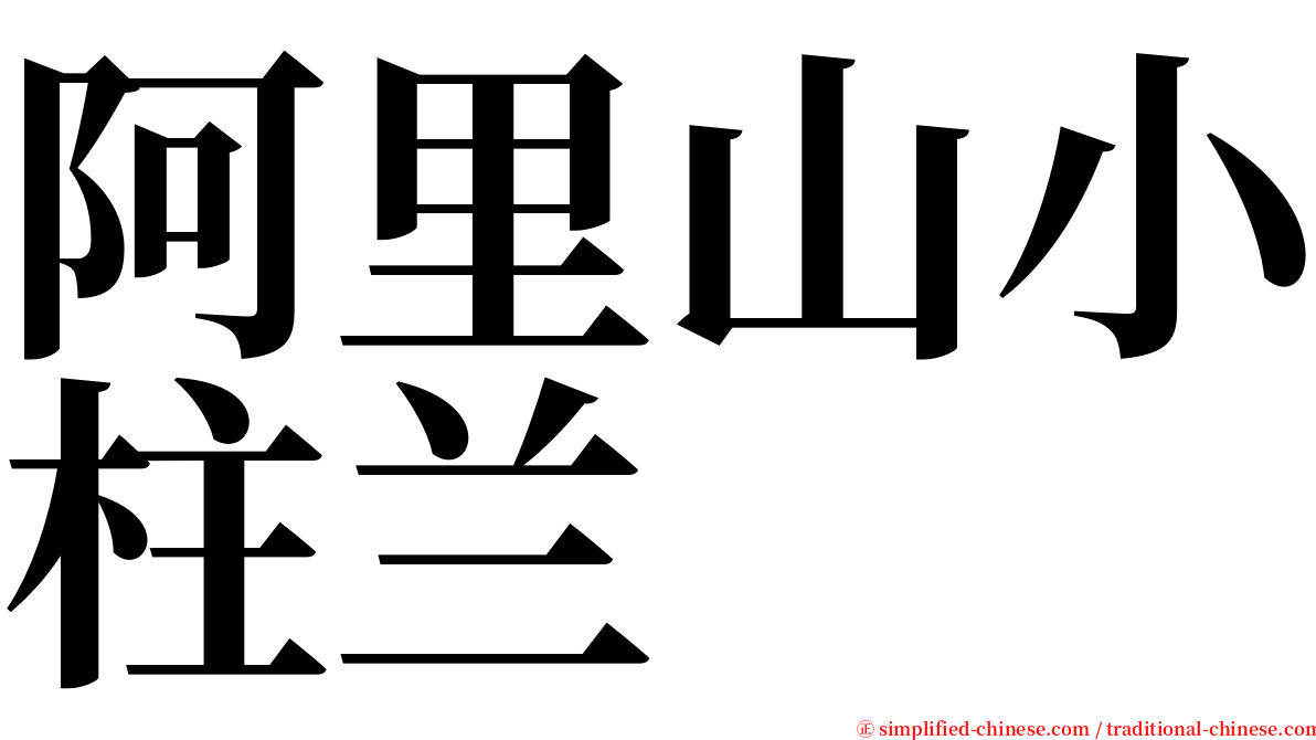 阿里山小柱兰 serif font