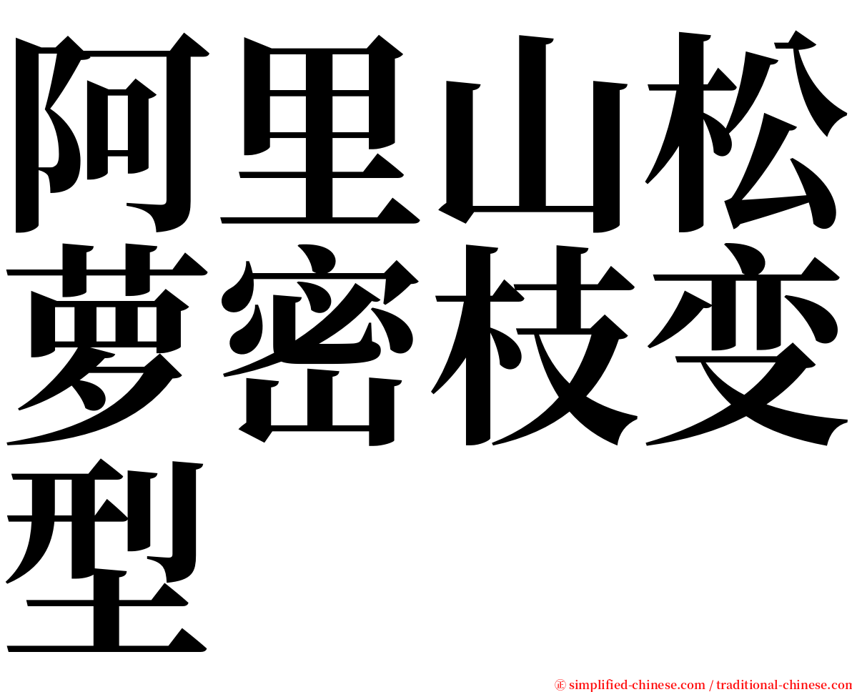 阿里山松萝密枝变型 serif font