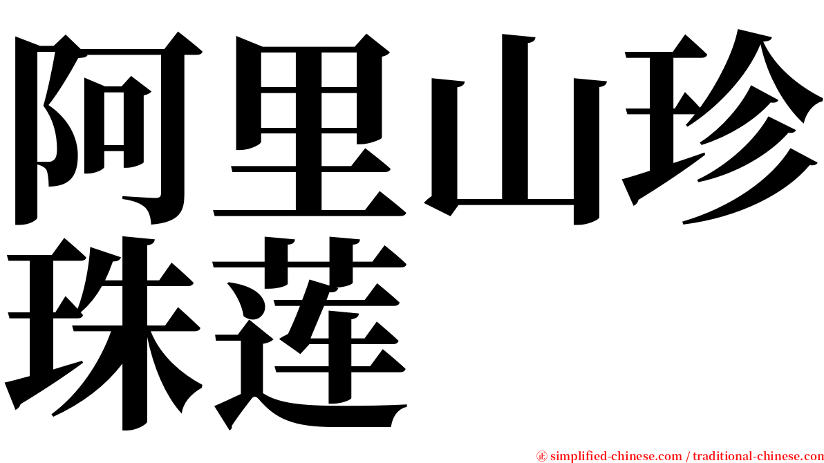 阿里山珍珠莲 serif font