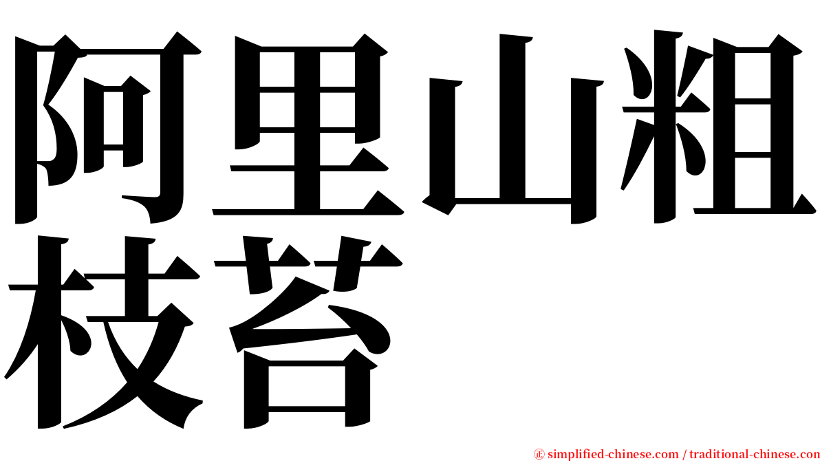 阿里山粗枝苔 serif font