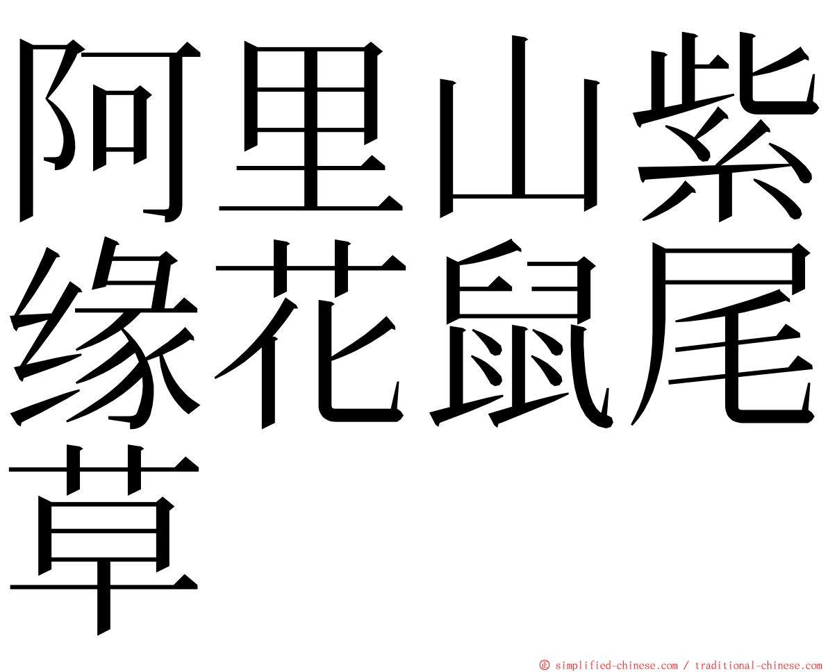 阿里山紫缘花鼠尾草 ming font