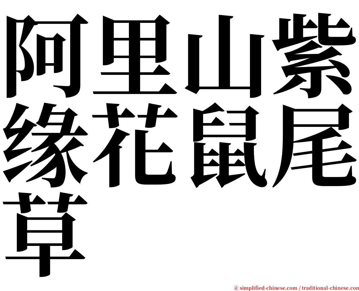 阿里山紫缘花鼠尾草 serif font