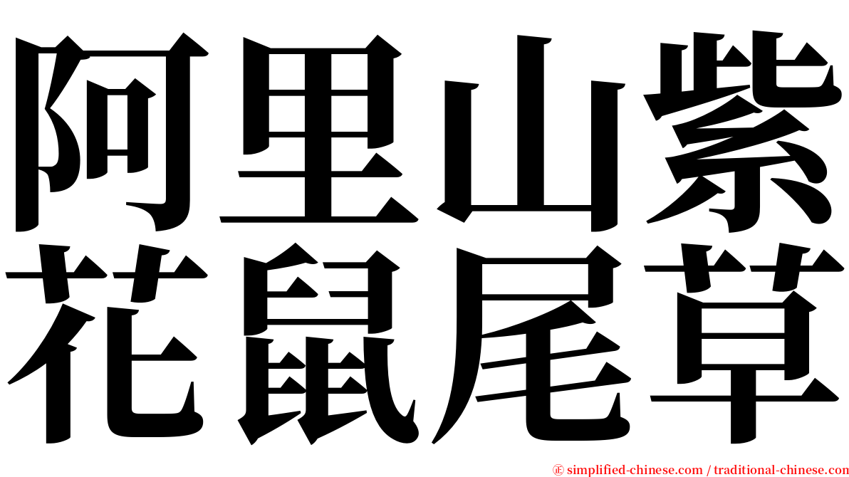 阿里山紫花鼠尾草 serif font