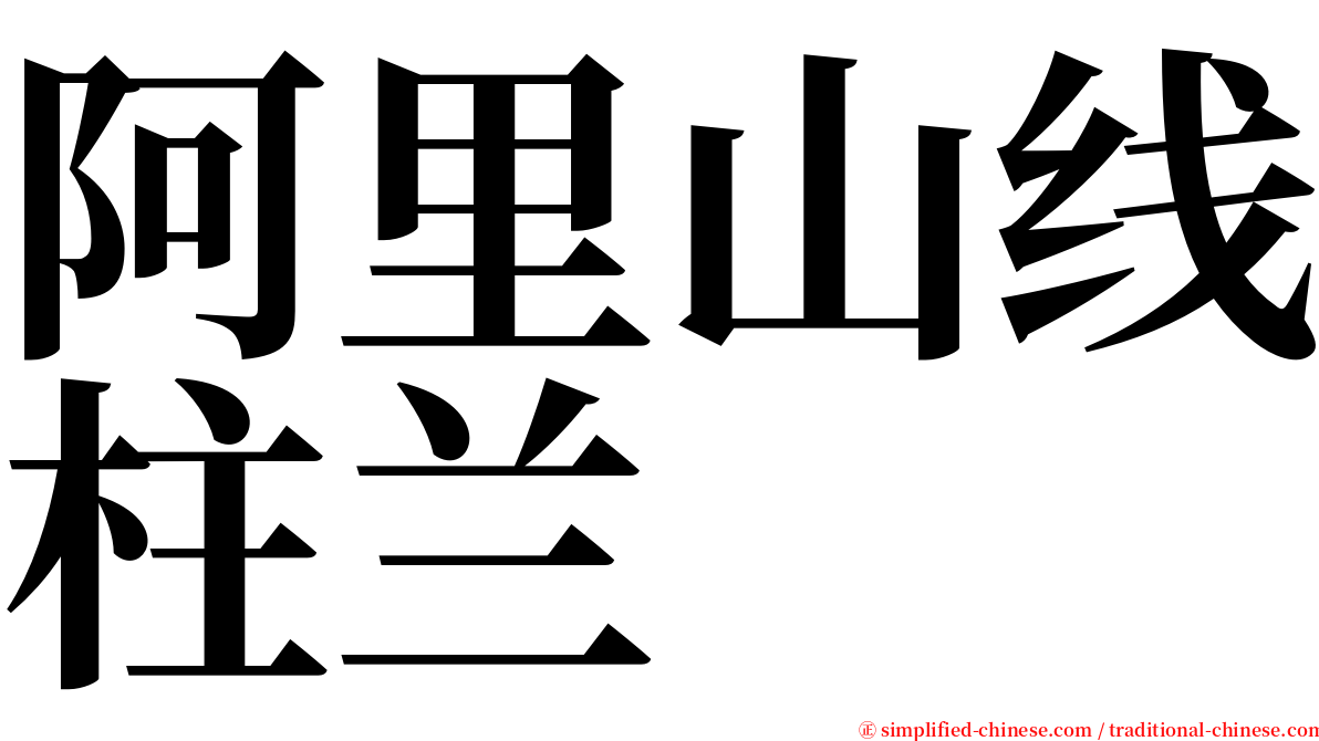 阿里山线柱兰 serif font