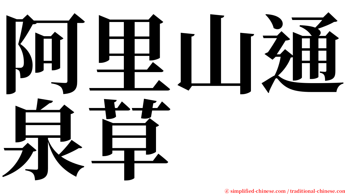 阿里山通泉草 serif font