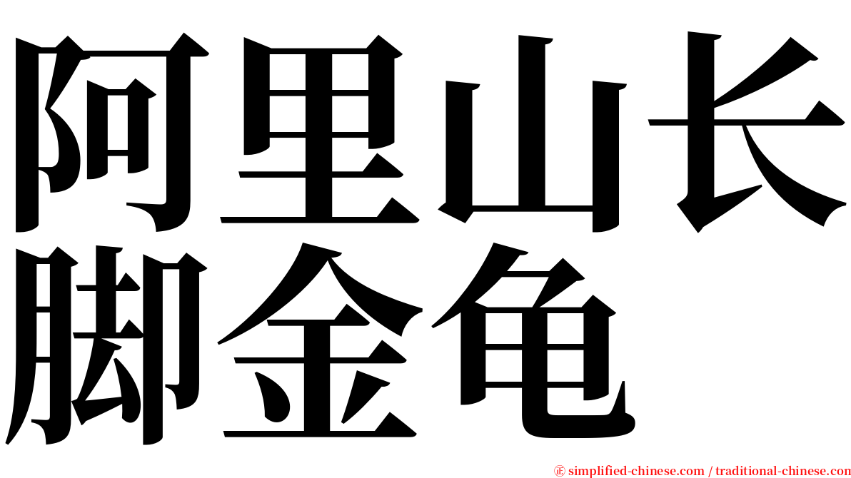 阿里山长脚金龟 serif font