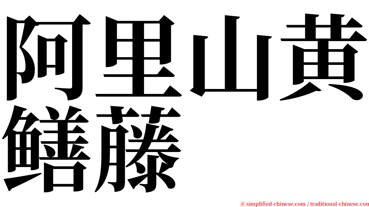 阿里山黄鳝藤 serif font