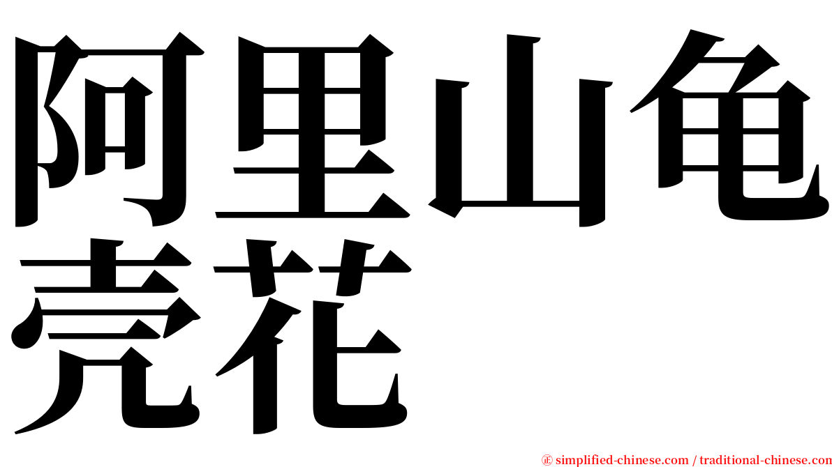 阿里山龟壳花 serif font