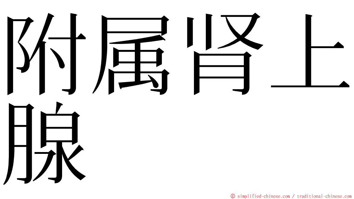 附属肾上腺 ming font