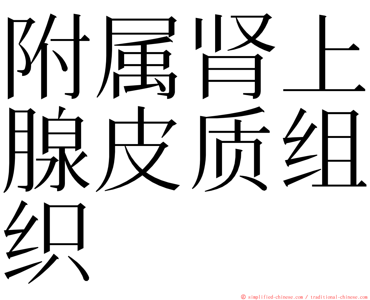 附属肾上腺皮质组织 ming font