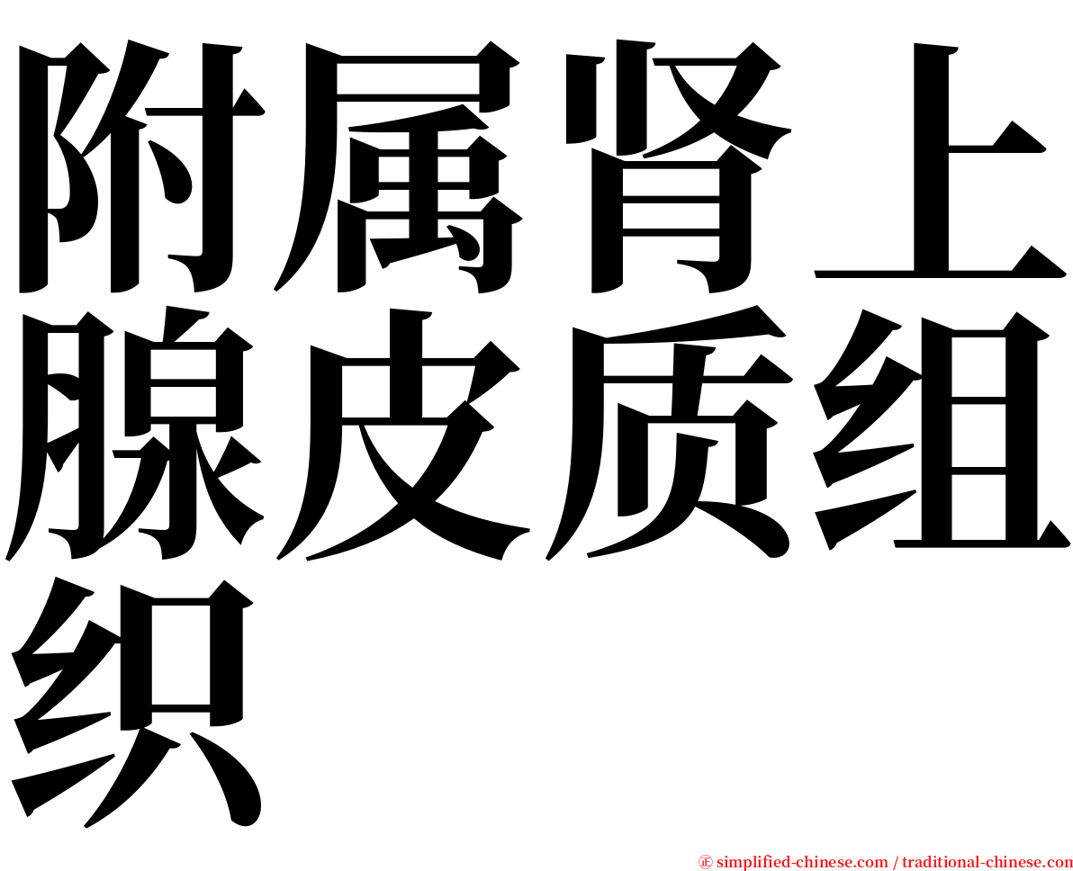 附属肾上腺皮质组织 serif font