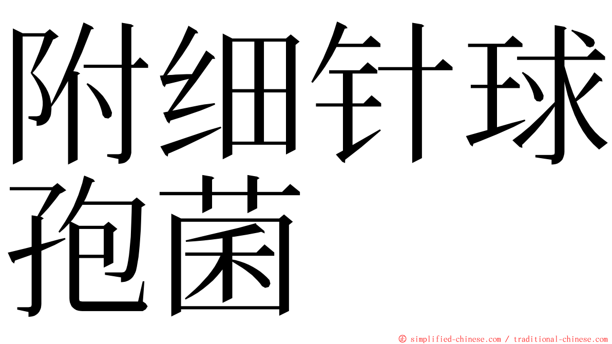 附细针球孢菌 ming font