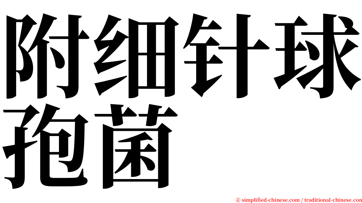 附细针球孢菌 serif font