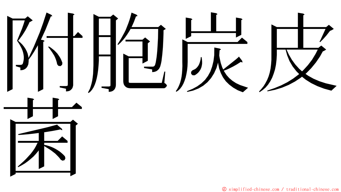 附胞炭皮菌 ming font