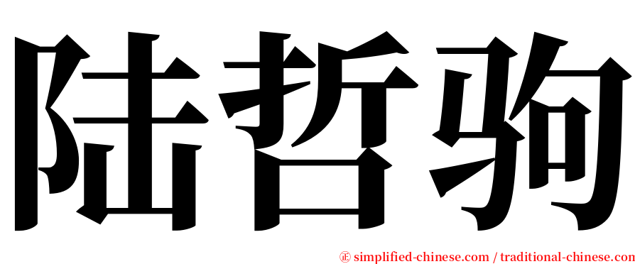 陆哲驹 serif font