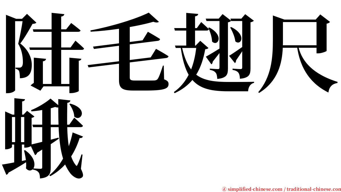 陆毛翅尺蛾 serif font