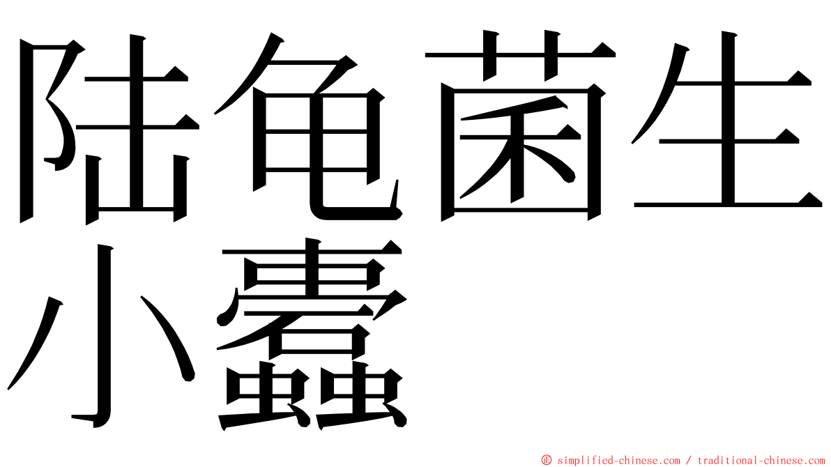 陆龟菌生小蠹 ming font