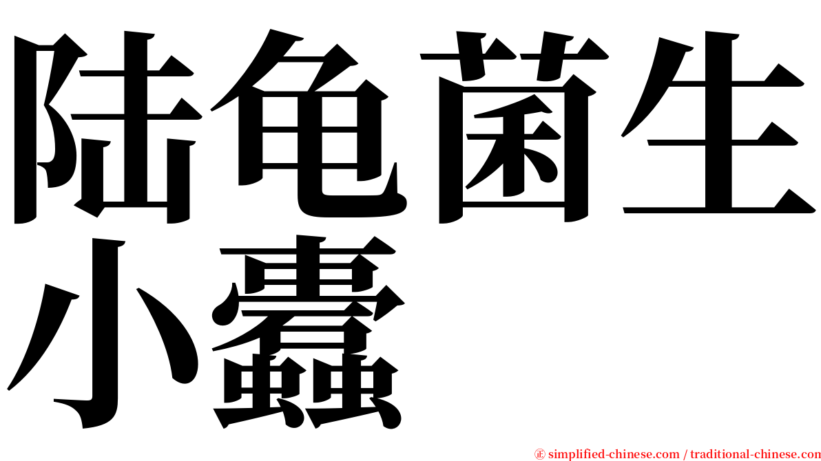 陆龟菌生小蠹 serif font