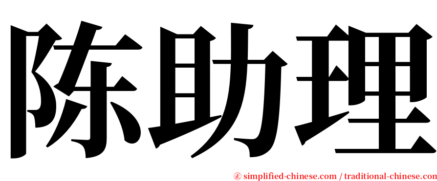 陈助理 serif font