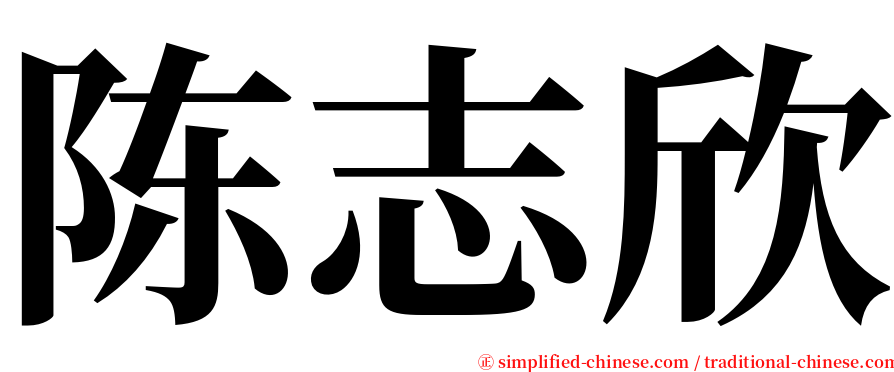 陈志欣 serif font