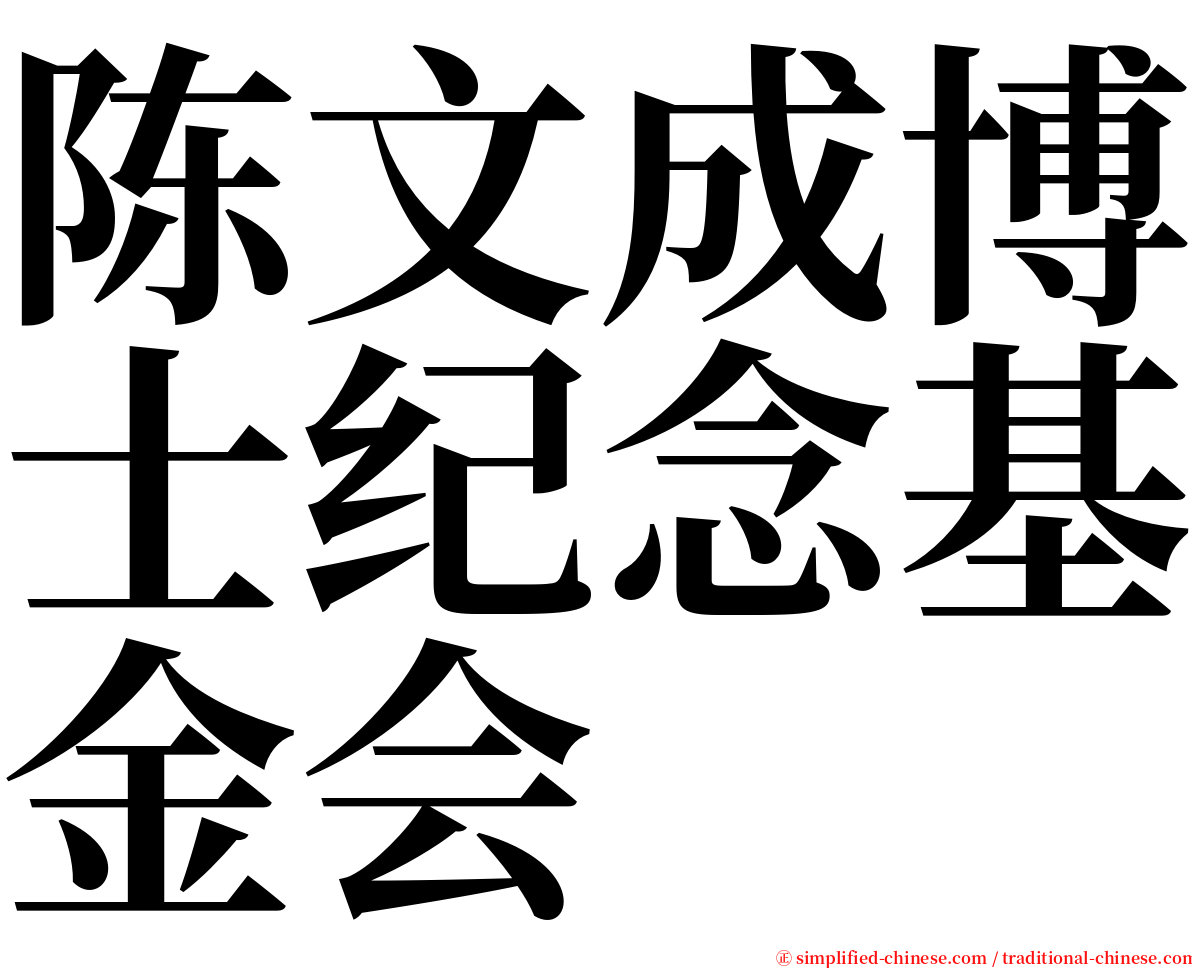 陈文成博士纪念基金会 serif font