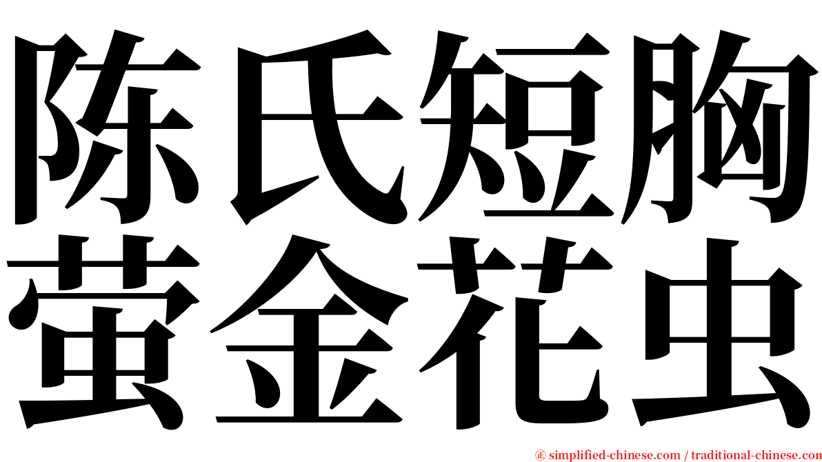 陈氏短胸萤金花虫 serif font