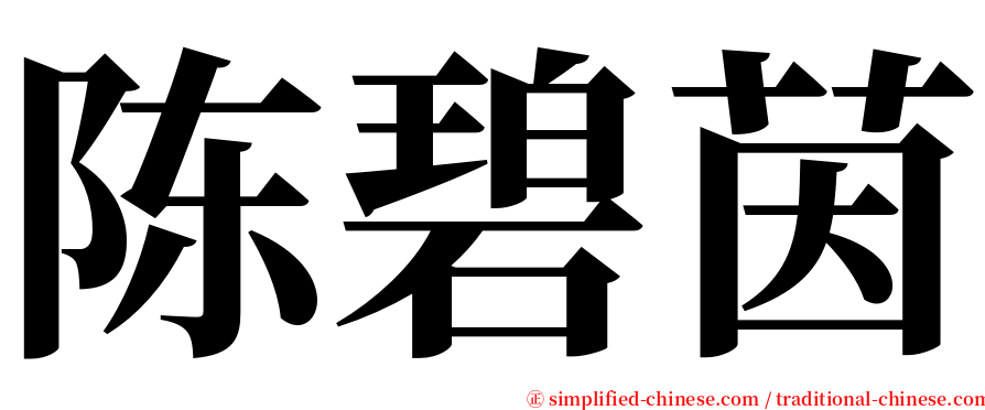 陈碧茵 serif font